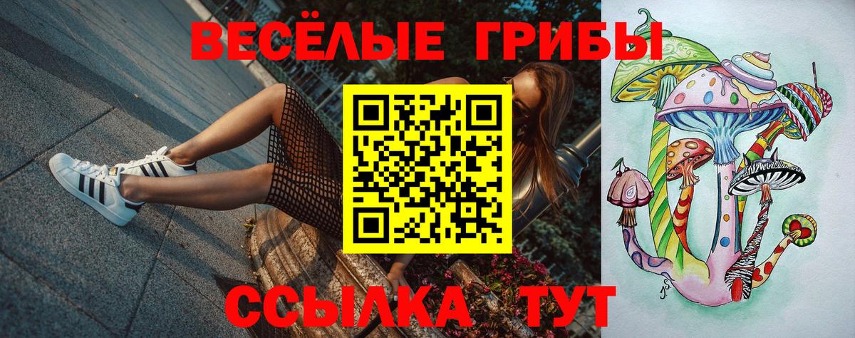 Галлюциногенные грибы мухоморы Аша